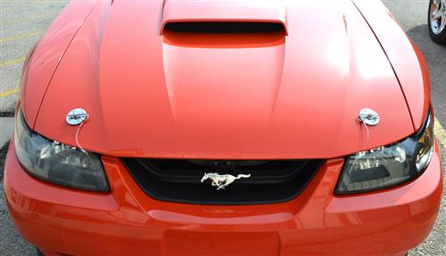 Mustang SVE Hood Pin Appearance Kit (79-14)